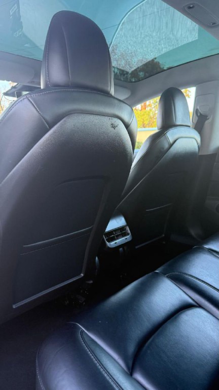 2020 Tesla Model 3 Image 13