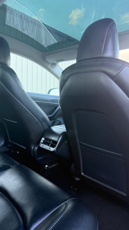 2020 Tesla Model 3 Image 19