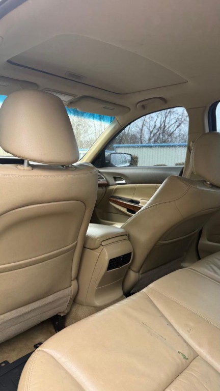 2010 Honda Accord Image 13