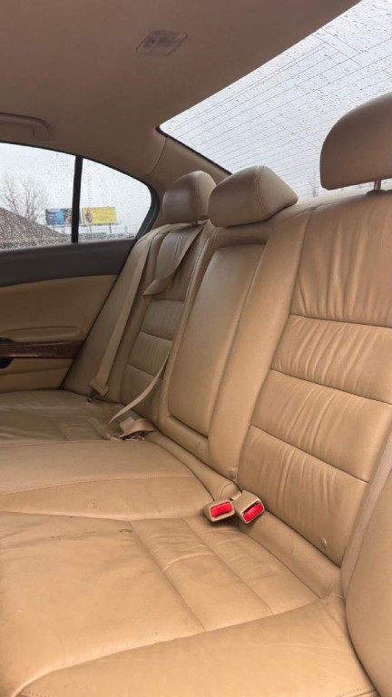 2010 Honda Accord Image 14