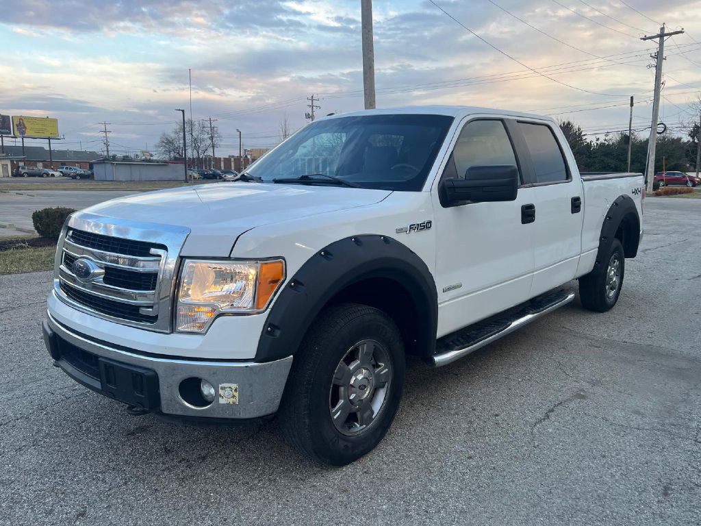 2014 Ford F-150 Image 3
