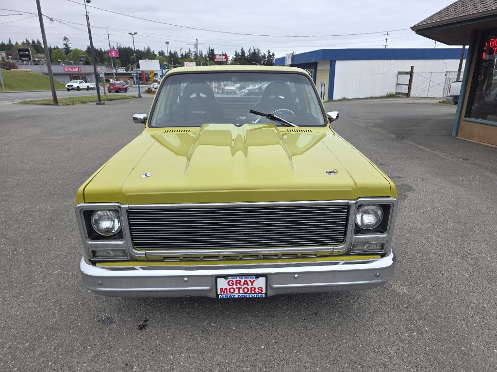 1979 Chevrolet C/K 10 Image 8
