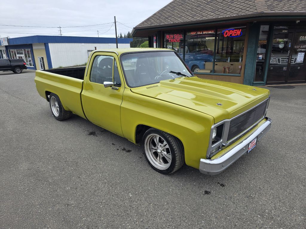 1979 Chevrolet C/K 10 Image 9