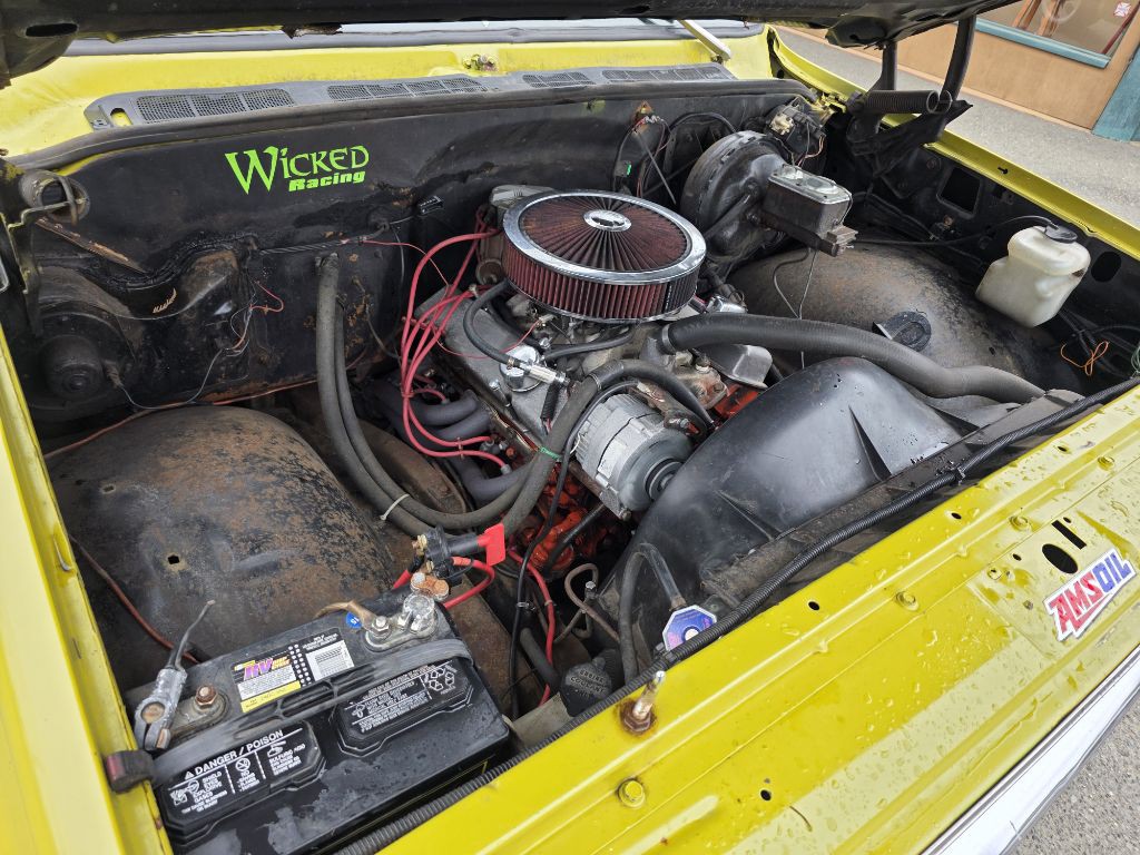 1979 Chevrolet C/K 10 Image 10