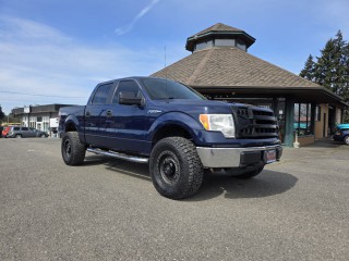 Image for 2010 Ford F-150 XLT ID: 7314698