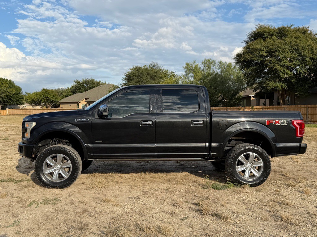 2015 Ford F-150 Image 3