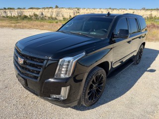 Image for 2019 Cadillac Escalade Luxury ID: 6945623