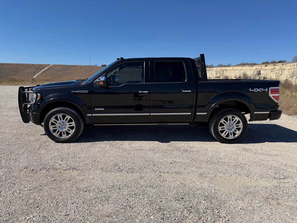 2014 Ford F-150 Image 3