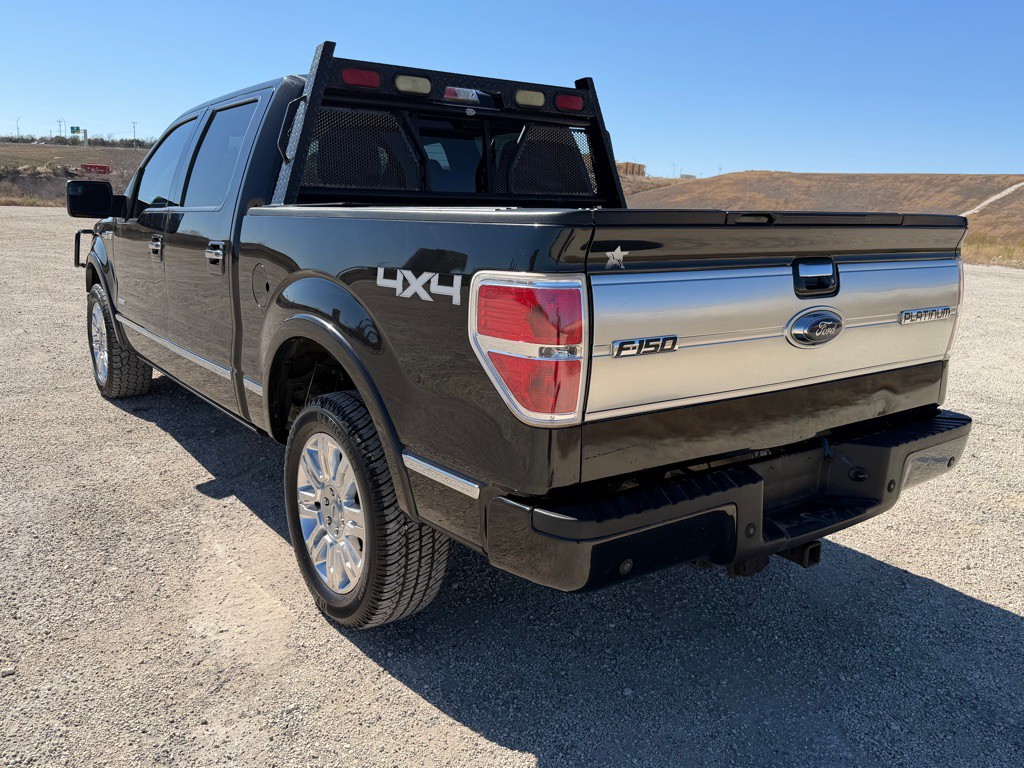 2014 Ford F-150 Image 11