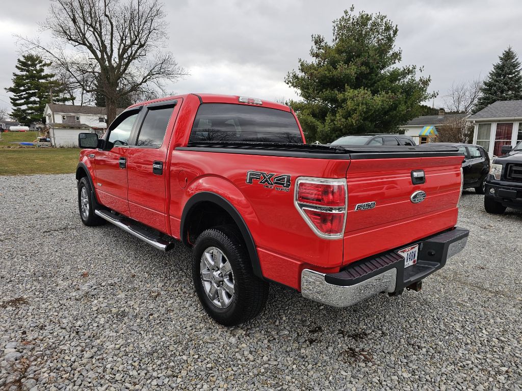 2013 Ford F-150 Image 4
