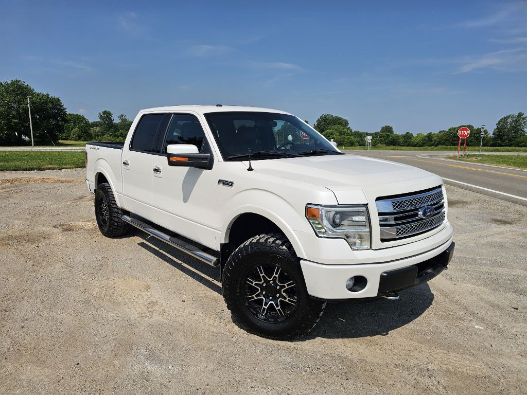 2014 Ford F-150 Image 1