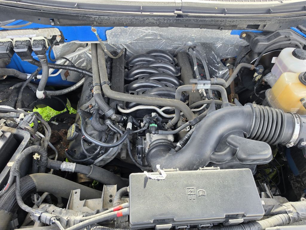 2013 Ford F-150 Image 8