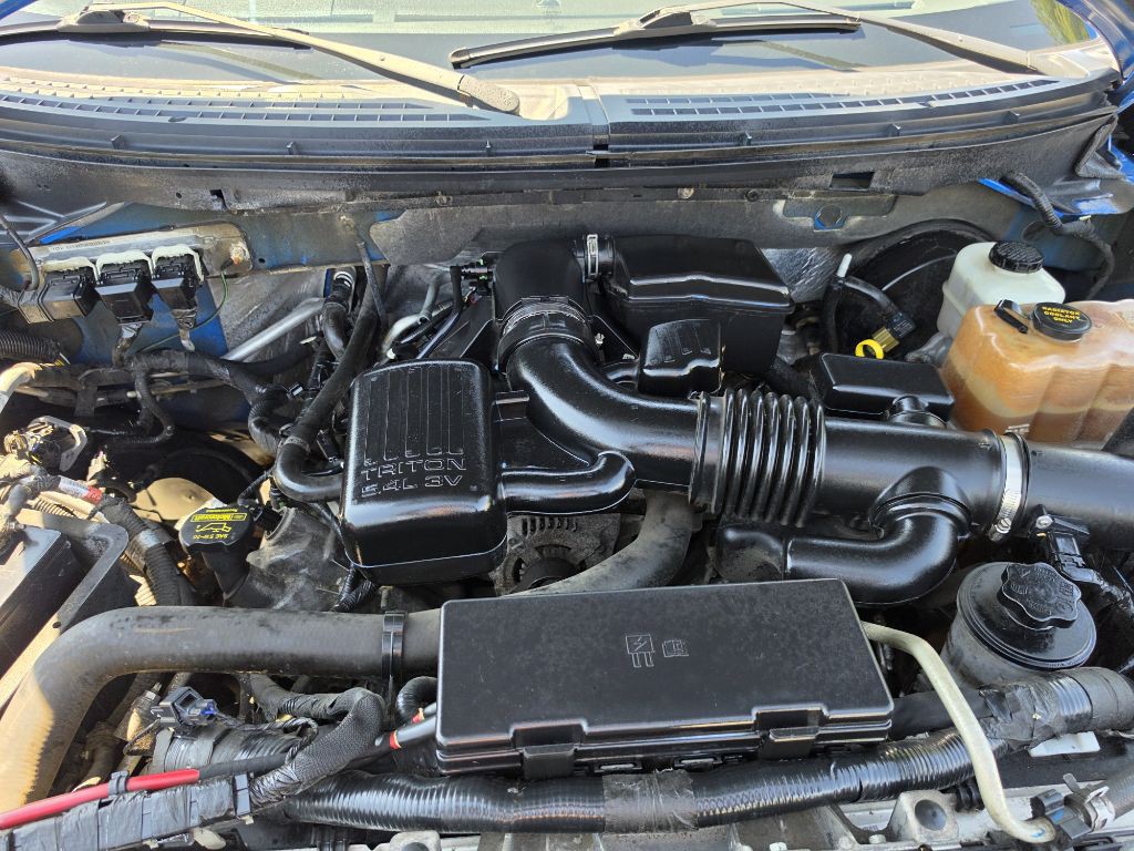 2010 Ford F-150 Image 12
