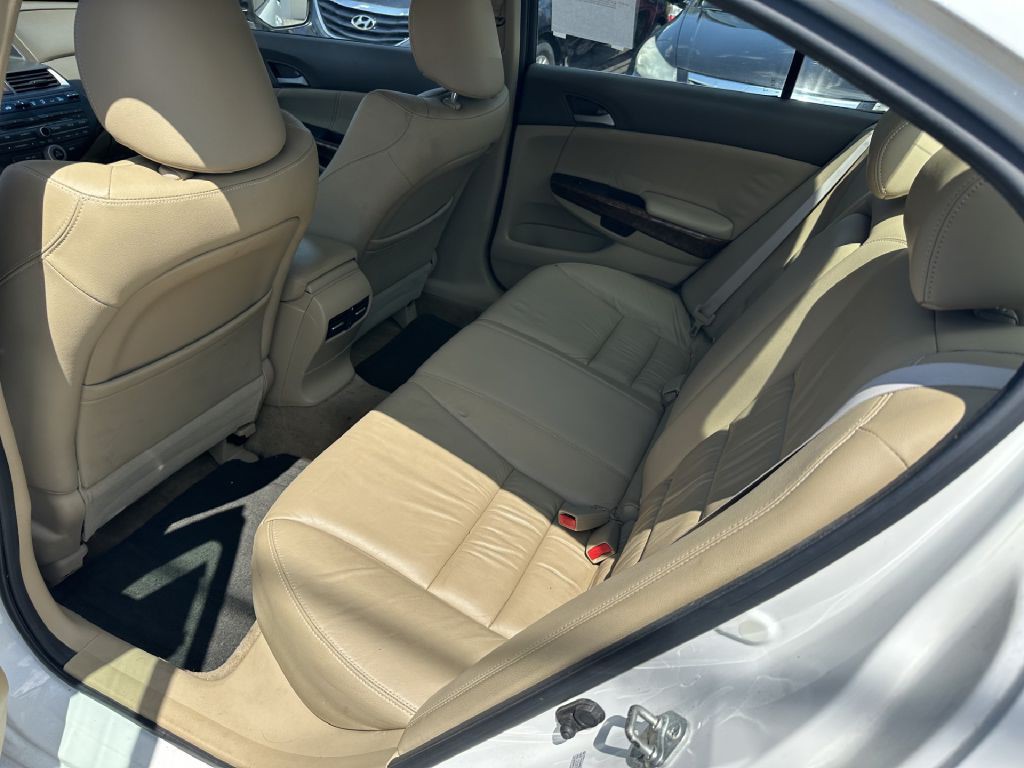 2010 Honda Accord Image 6