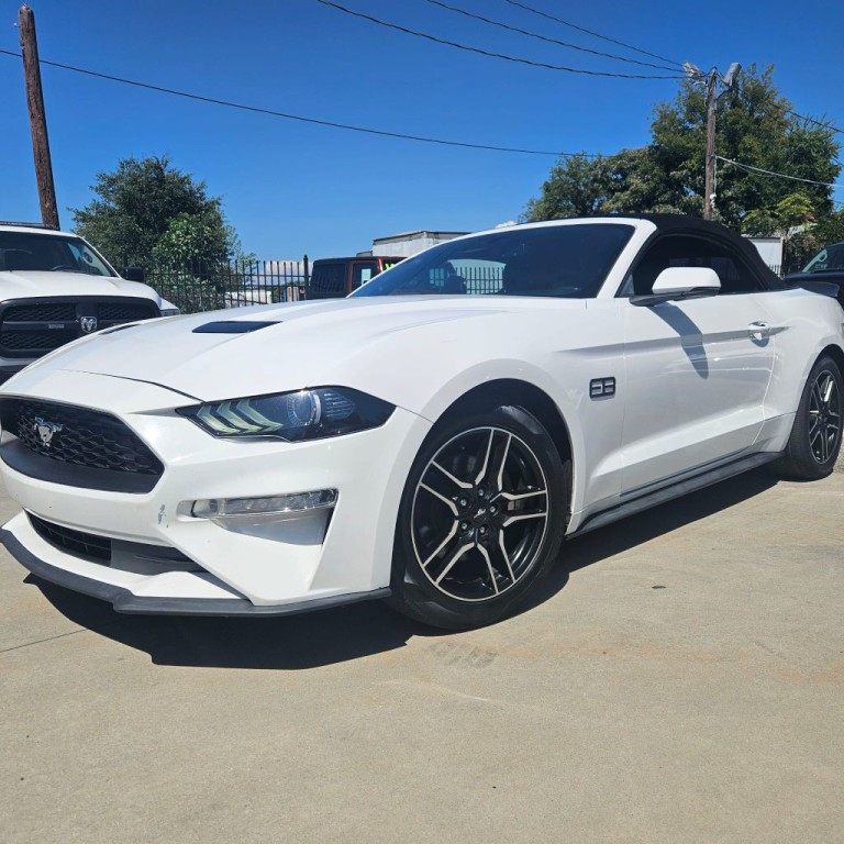 2019 Ford Mustang Image 2