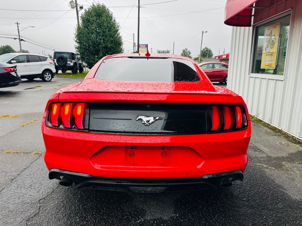 2020 Ford Mustang Image 5