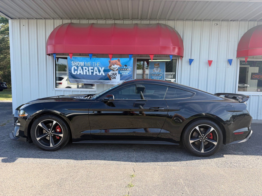 2019 Ford Mustang Image 4