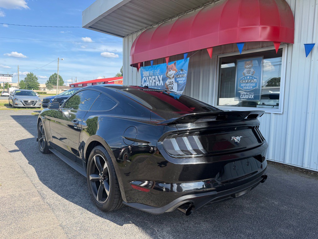 2019 Ford Mustang Image 5