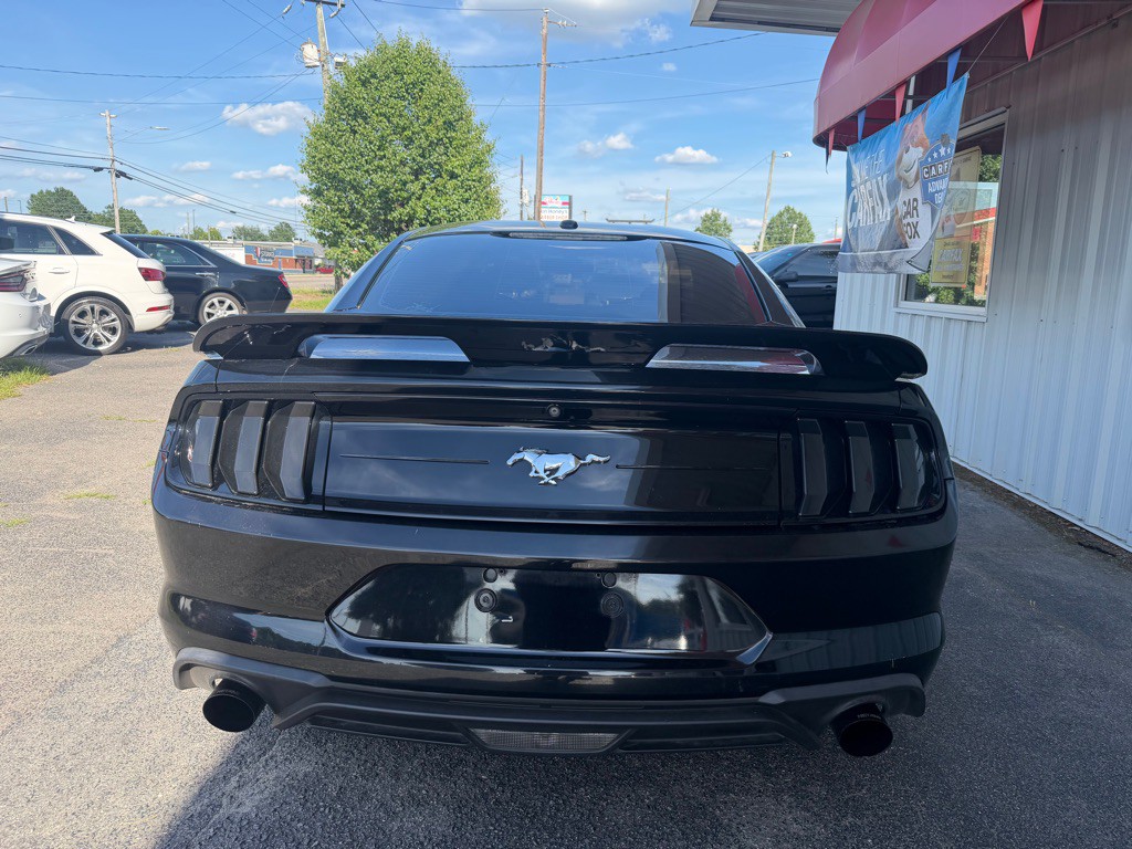 2019 Ford Mustang Image 6
