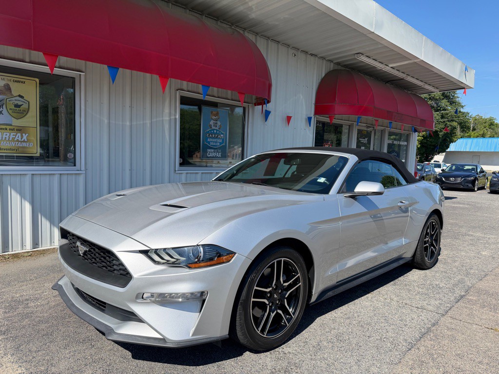 2019 Ford Mustang Image 1