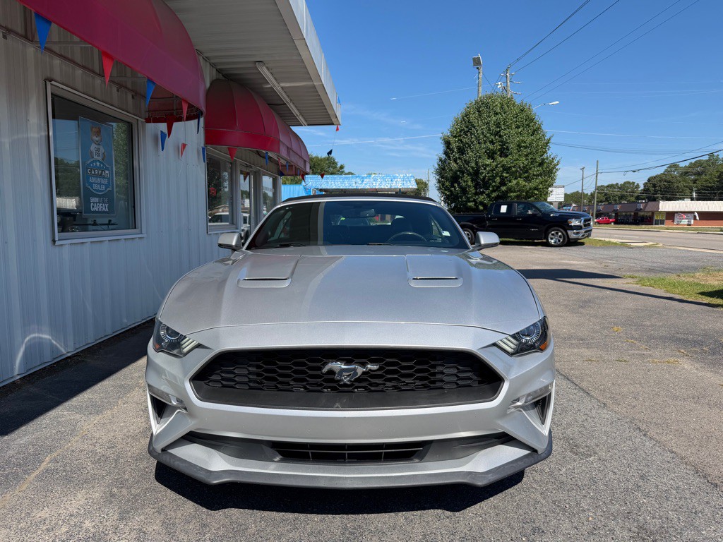 2019 Ford Mustang Image 2