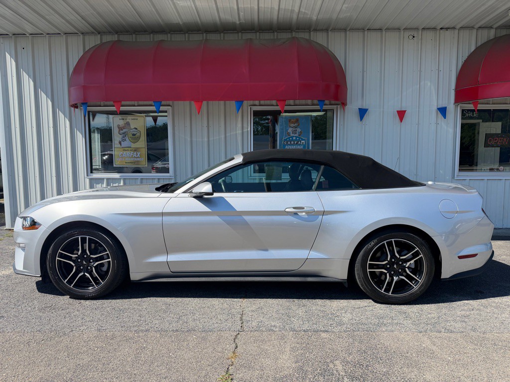 2019 Ford Mustang Image 4
