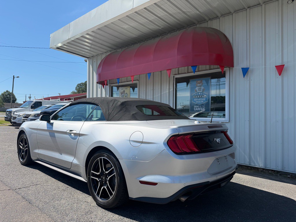 2019 Ford Mustang Image 5