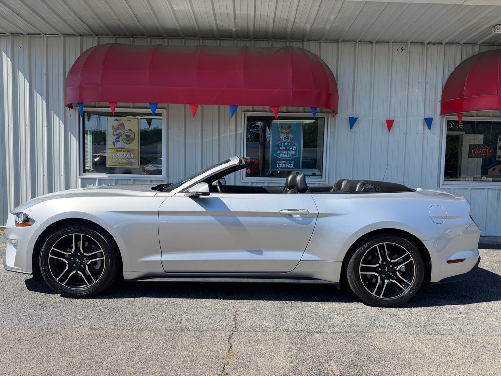 2019 Ford Mustang Image 10