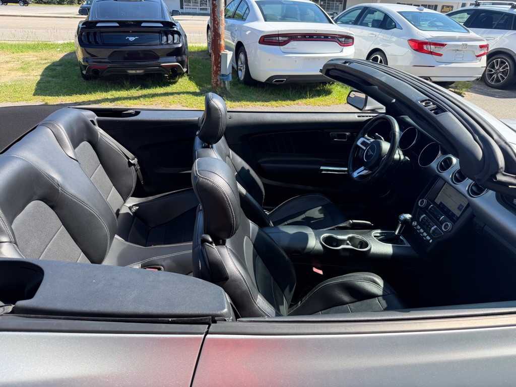 2019 Ford Mustang Image 12