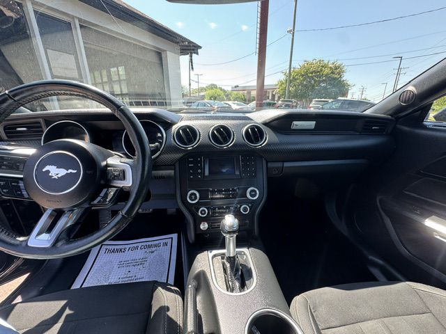 2019 Ford Mustang Image 3