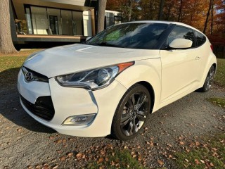 Image for 2016 Hyundai Veloster  ID: 6844521