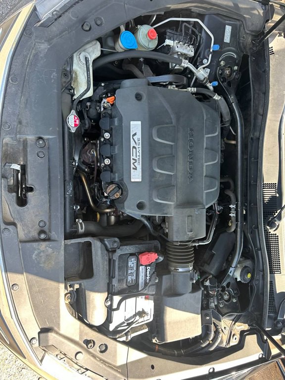 2010 Honda Crosstour Image 11