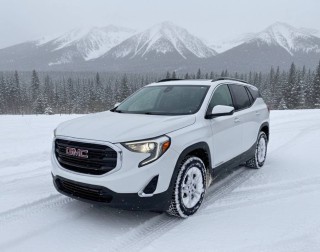 Image for 2020 GMC Terrain SLE ID: 6897134