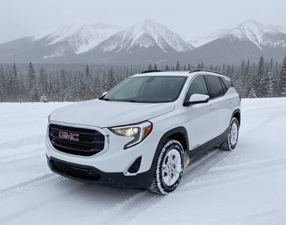 2020 GMC Terrain Image 1