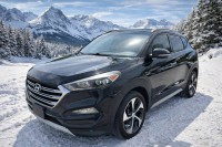 Image for 2017 Hyundai Tucson Limited ID: 7348651