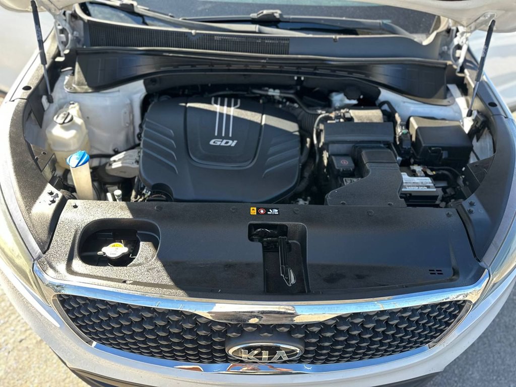 2017 Kia Sorento Image 9