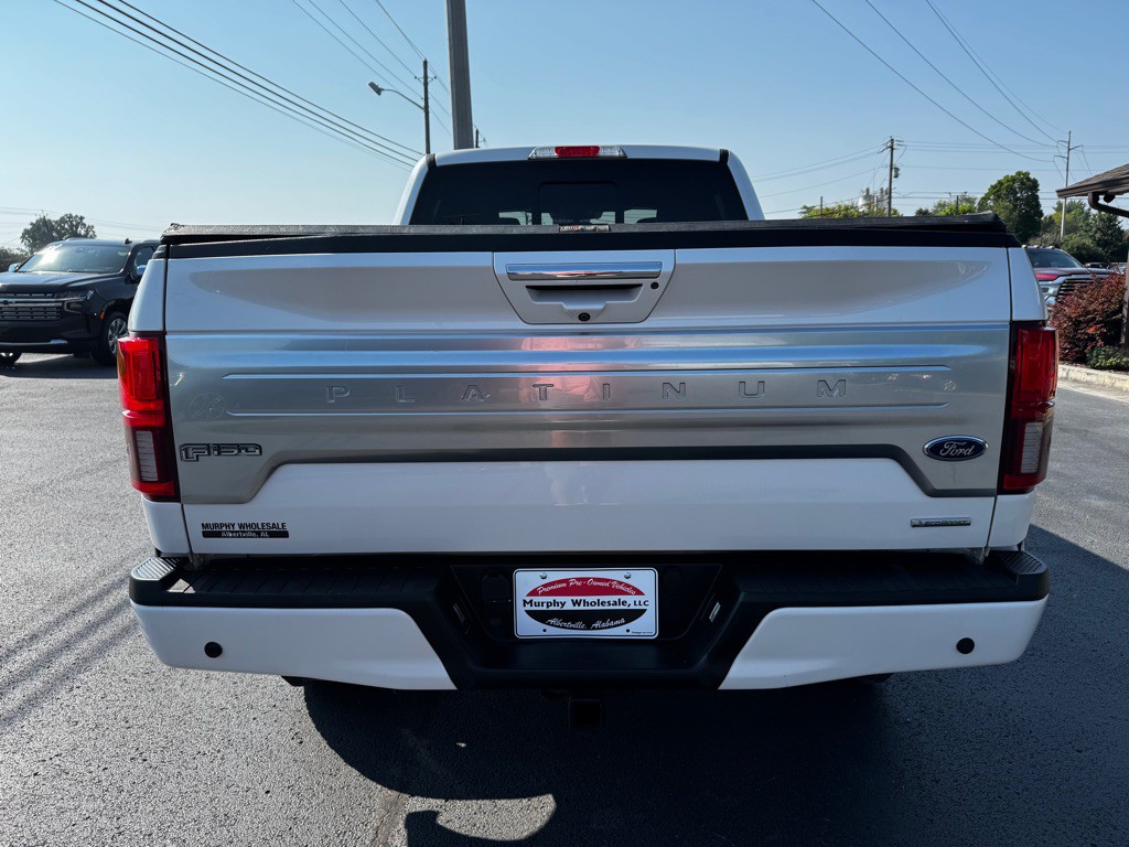 2019 Ford F-150 Image 4