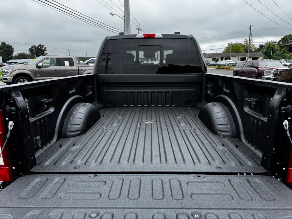 2021 Ford F-250 Image 5