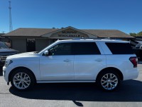 Image for 2019 Ford Expedition Platinum ID: 6834651