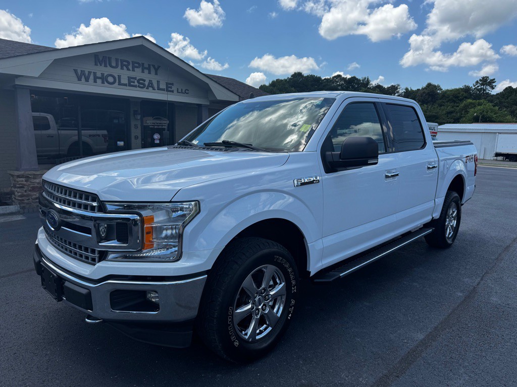 2019 Ford F-150 Image 2