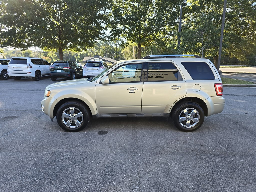 2010 Ford Escape Image 7