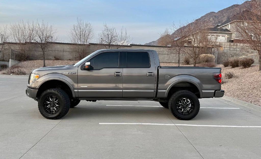 2014 Ford F-150 Image 3