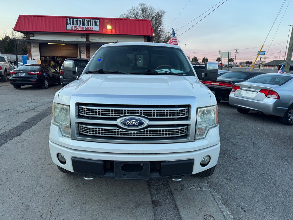 2010 Ford F-150 Image 2