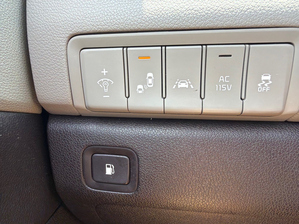 2015 Kia Sedona Image 19