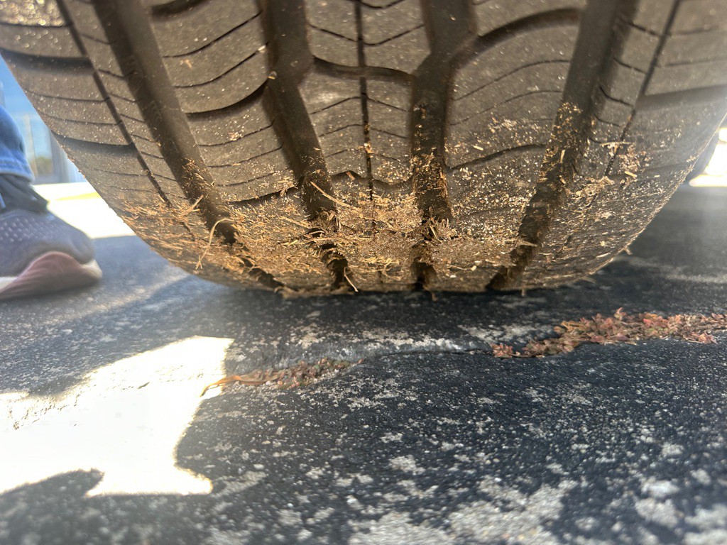 2015 GMC Yukon Image 25