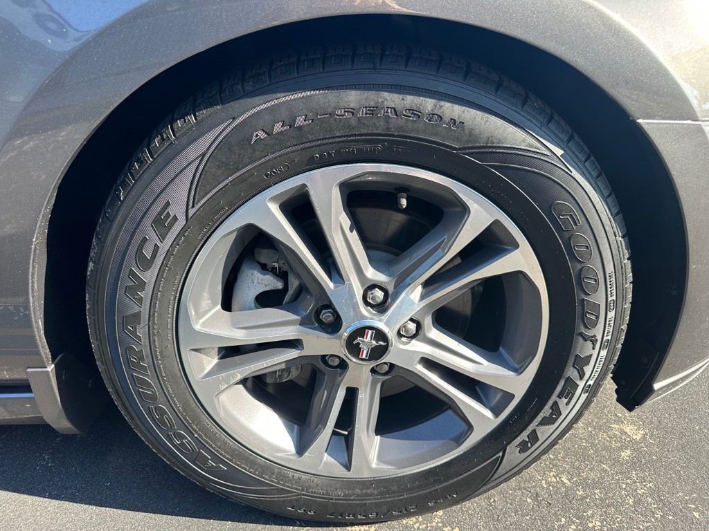 2014 Ford Mustang Image 24