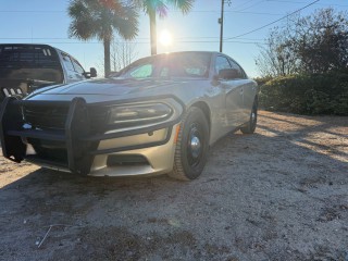 Image for 2017 Dodge Charger Police ID: 7166517