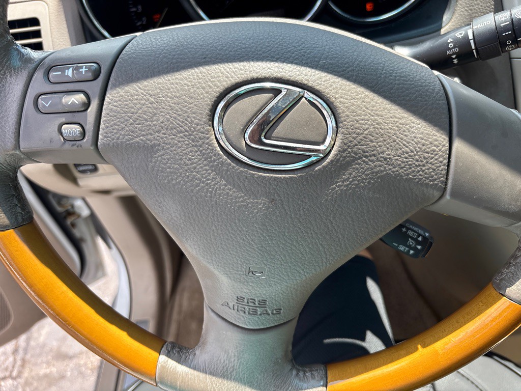2009 Lexus RX Image 17
