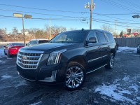 Image for 2018 Cadillac Escalade Luxury ID: 7035968