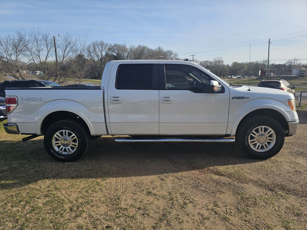 2010 Ford F-150 Image 4